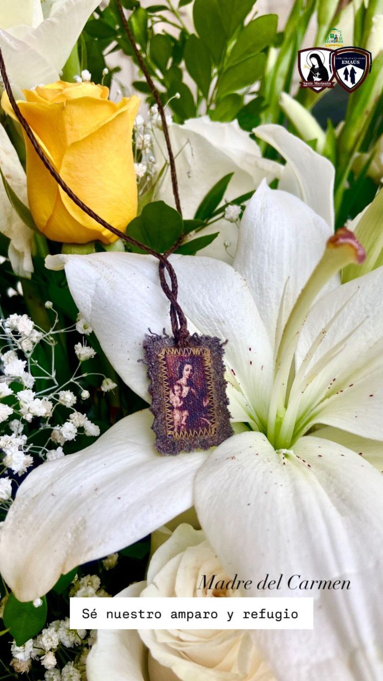 Imagen de WhatsApp 2024-10-21 a las 14.21.24_cc33408e